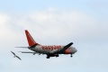 Boeing 737-73V